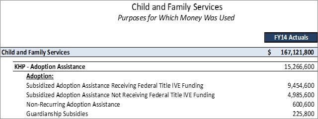 DCFS Adoption Assistance Detailed Purposes